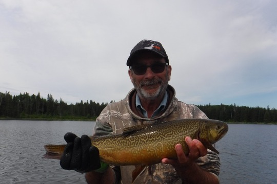 Tiger Trout