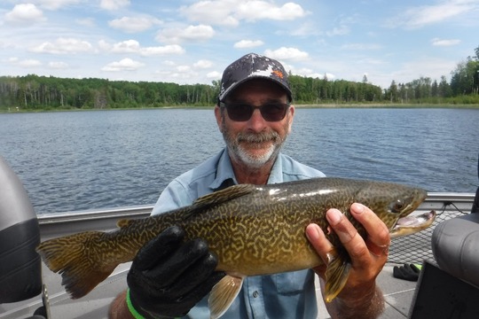 Tiger Trout