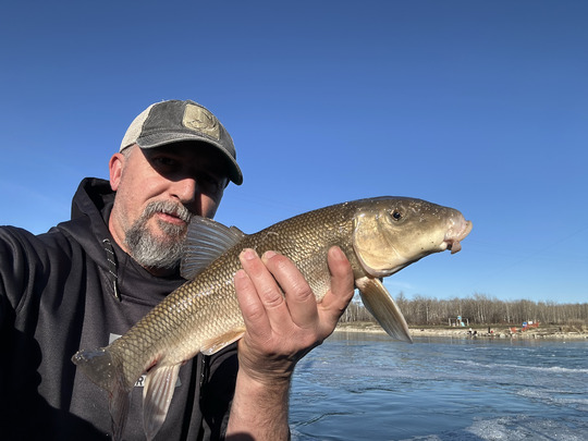 Sucker