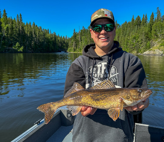 Sauger