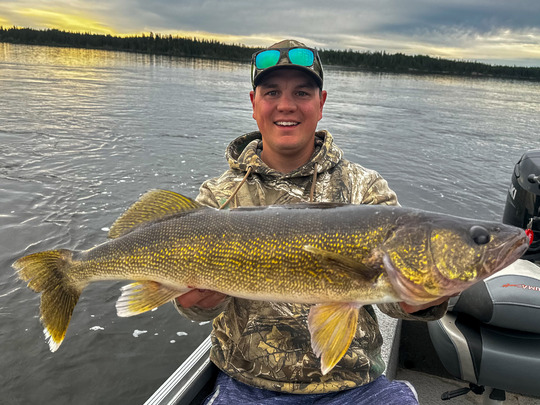 Walleye
