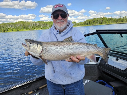 Tiger Trout
