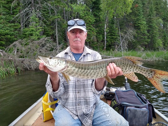 Muskellunge