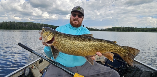 Tiger Trout