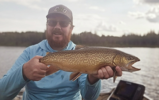 Tiger Trout