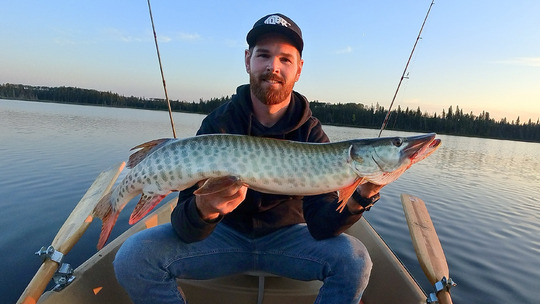 Muskellunge