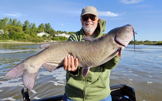 Channel Catfish