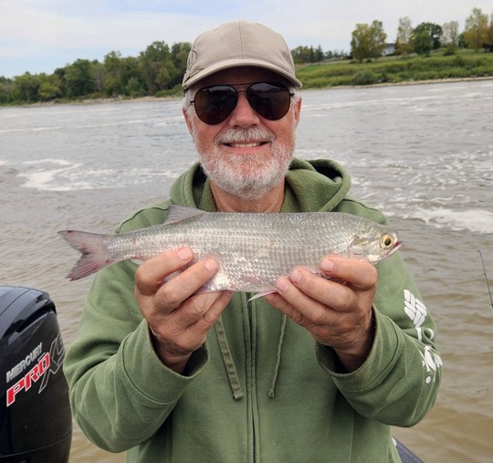 Goldeye