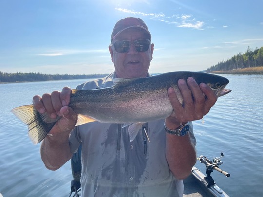 Rainbow Trout