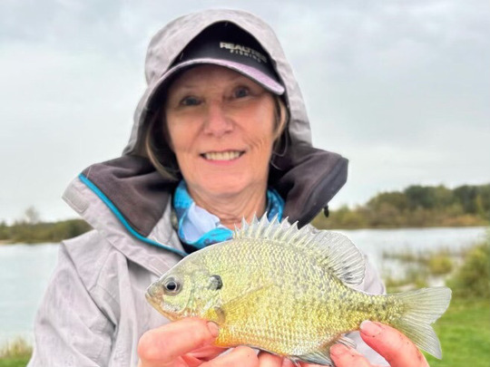 Sunfish