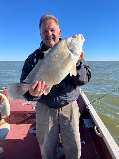 Freshwater Drum