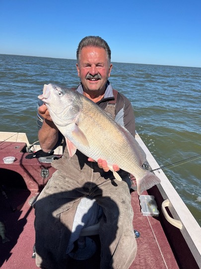 Freshwater Drum