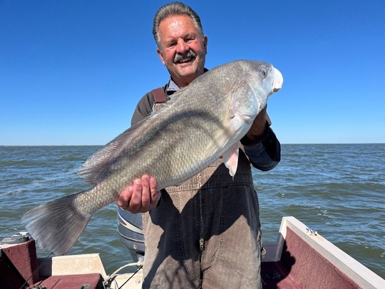 Freshwater Drum