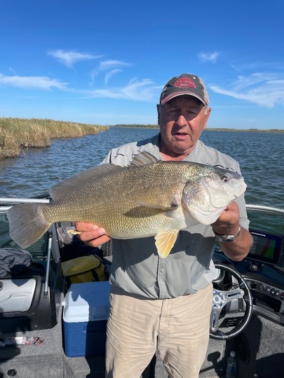Freshwater Drum