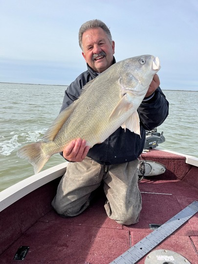 Freshwater Drum
