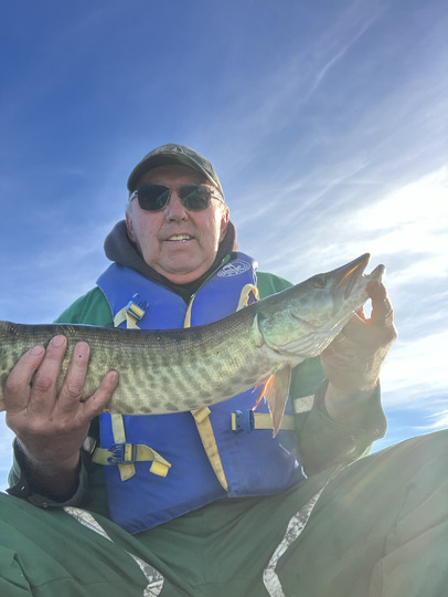 Muskellunge