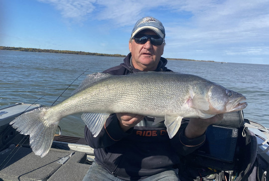 Walleye