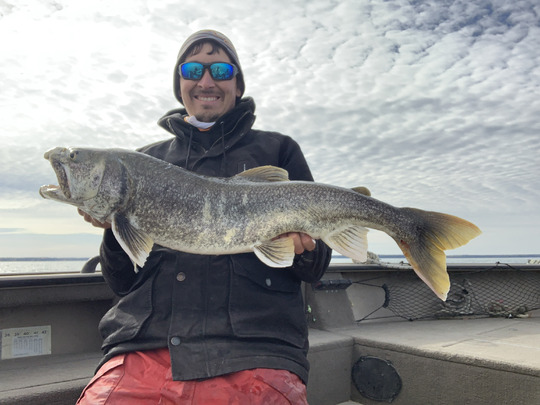 Lake Trout