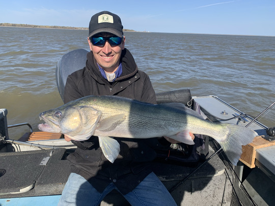Walleye