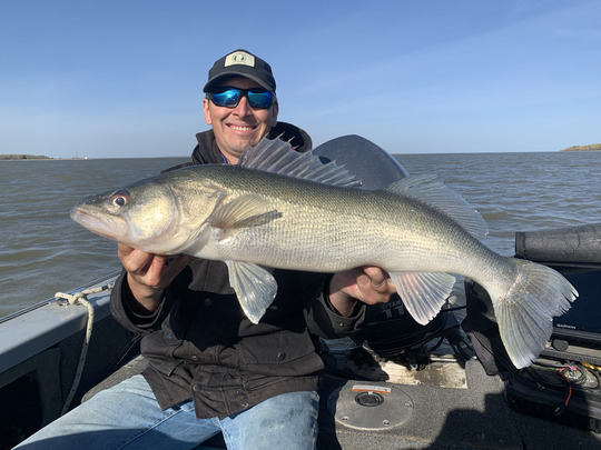 Walleye
