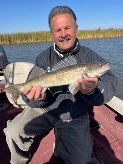 Sauger