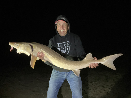 Lake Sturgeon