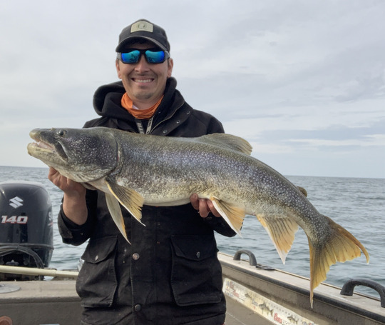 Lake Trout