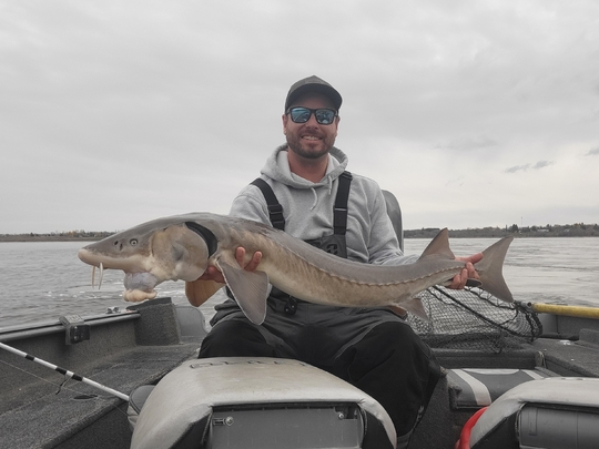 Lake Sturgeon