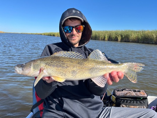 Sauger