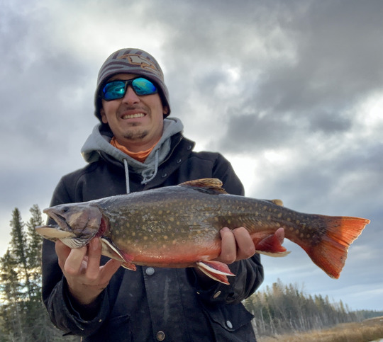 Brook Trout