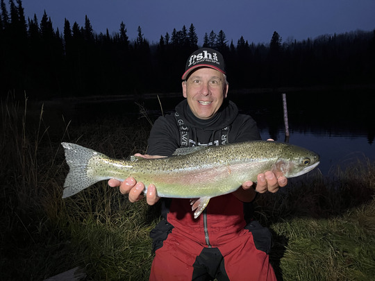 Rainbow Trout