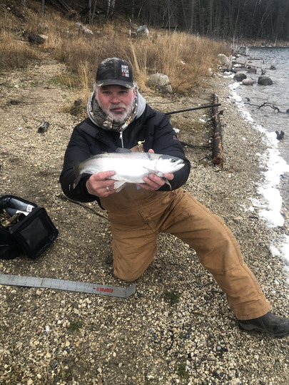 Rainbow Trout