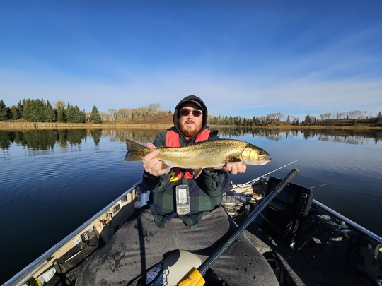 Tiger Trout