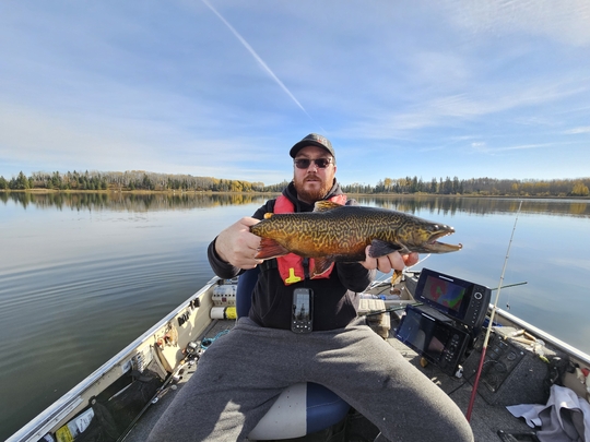 Tiger Trout