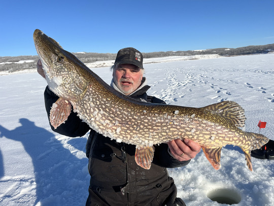 Northern Pike