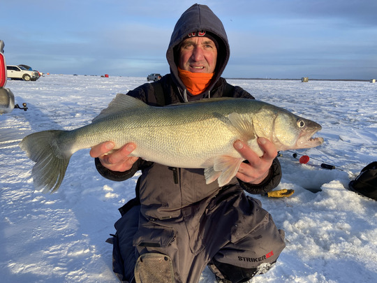 Walleye