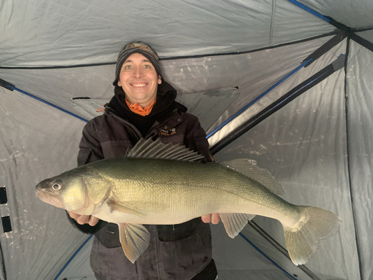 Walleye