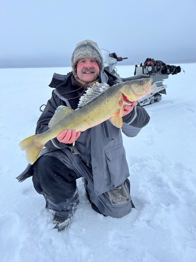 Walleye