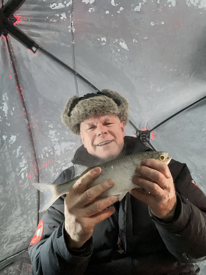 Goldeye