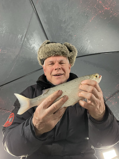 Goldeye