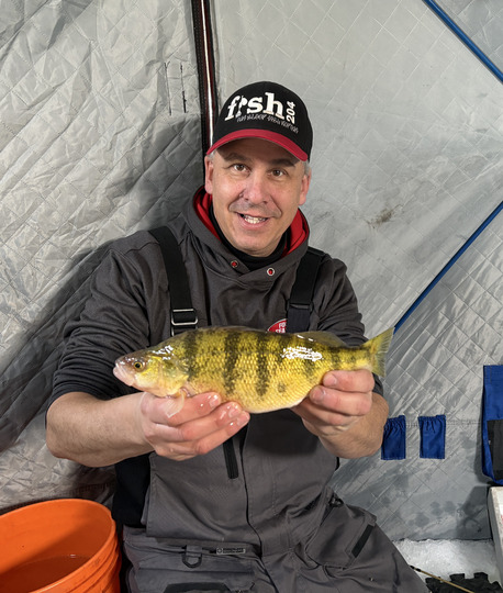 Yellow Perch