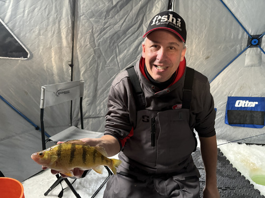 Yellow Perch