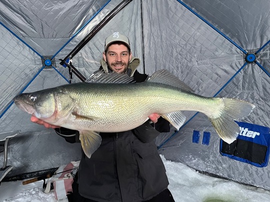 Walleye