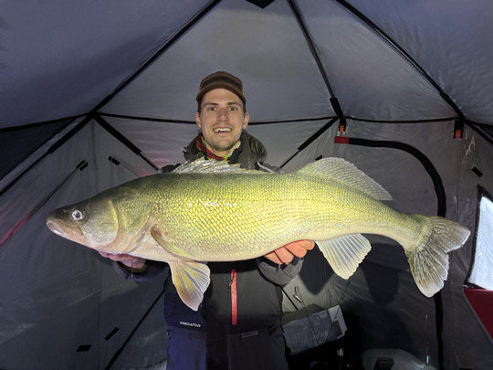 Walleye