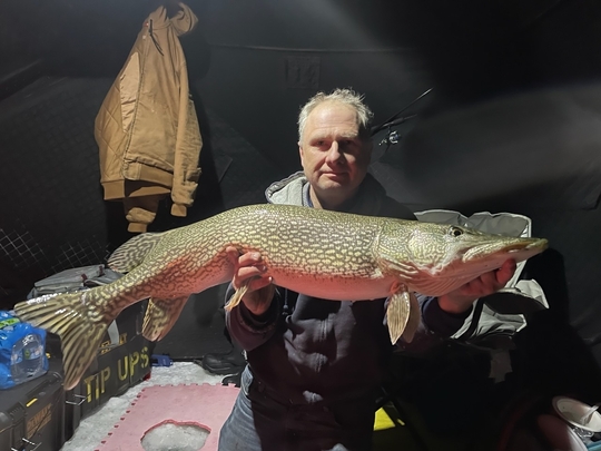 Northern Pike