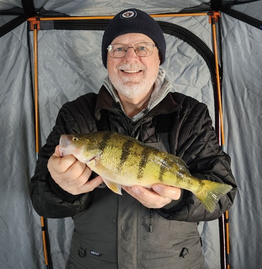 Yellow Perch
