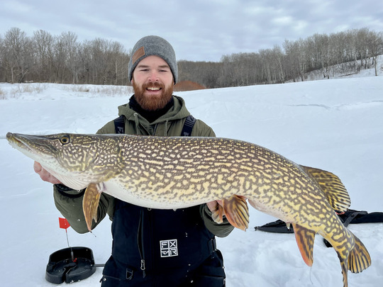 Northern Pike