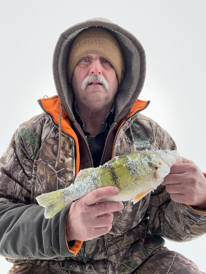 Yellow Perch