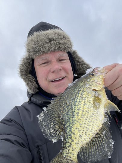 Black Crappie