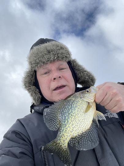 Black Crappie